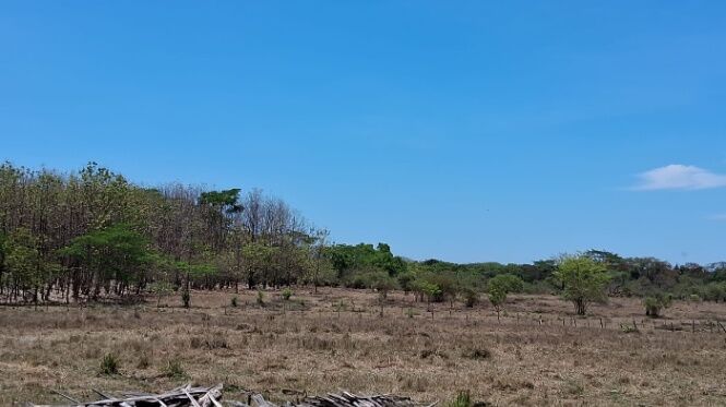 Se Vende Finca en Lepanto, Puntarenas, Costa Rica:  en Lepanto, Puntarenas — ₡ 85 000 000
