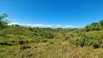 Land For Sale Cajón, Pérez Zeledón, San José