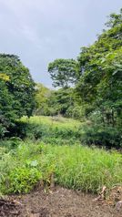 🌿🏡 ¡AMPLIO TERRENO CON CASA EN VENTA EN SIQUIRRES! in La Alegría, Siquirres, Limón — 110 000 000 ₡ - Photo 5 of 14