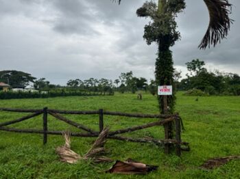 Lote en Venta Guápiles, Pococí, Limón