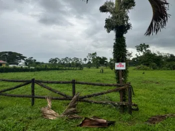 Venta de Lote en La Colonia de Guápiles 