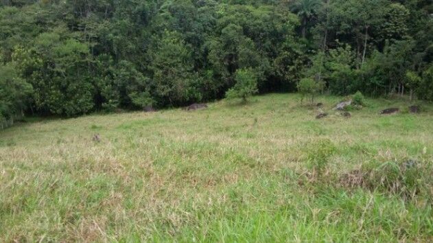 MLS-25-259 KQ VENTA FINCA PEREZ ZELEDON CONTACTENOS AL # 88987222 en San Pedro, Pérez Zeledón, San José — ₡ 75 000 000
