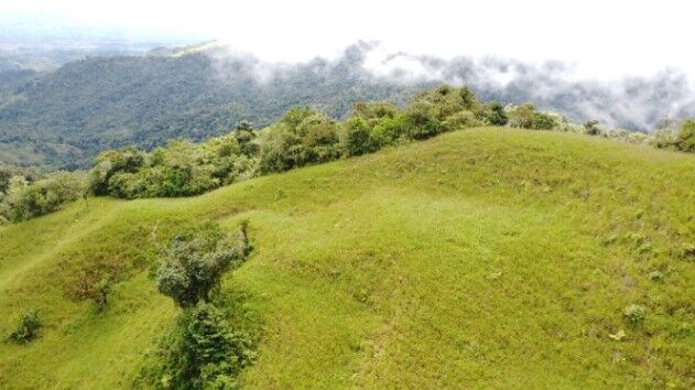 40 + Hectares en San Antonio de Baru, Perez Zeledon en Barú, Pérez Zeledón, San José — $330,000