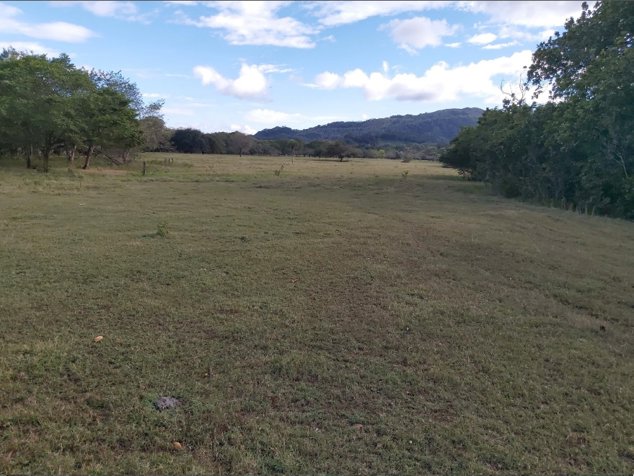 Finca 8.7 Ha en Nicoya frente a Ruta Nacional, Gran Potencial en Nicoya, Guanacaste — $700,000 - Foto 2 de 11