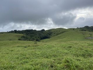 Finca para ganado en el area de Arenal en Arenal, Tilarán, Guanacaste — $1,450,000 - Foto 4 de 13