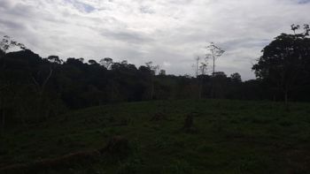 Venta de Finca Ganadera con Operación Llave en Mano en San Marcos de Cutris en Cutris, San Carlos, Alajuela — 460 000 000 ₡ - Foto 2 de 7