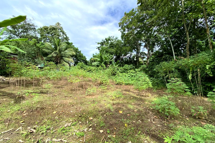 Lote En Venta En Moín, Limón in Limón — $51,332 - Photo 2 of 10