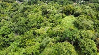 SE VENDE: 36,104 M² EN CORONADO DE OSA en Quepos, Puntarenas — $649,872 - Foto 4 de 10