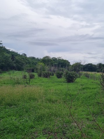 VENTA DE FINCA, GUANACASTE, BAGACES in Bagaces, Guanacaste — $5,000,000