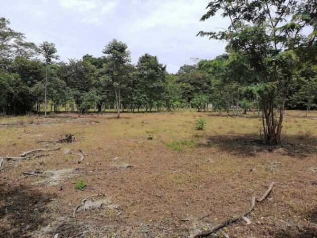 Venta de Lote en Carrillo-Belén, Guanacaste. RAH 25-1061 in Belén, Carrillo, Guanacaste — ₡ 50 000 000