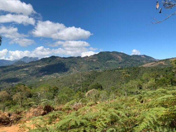 Se vende amplio lote de 21.8 Hectáreas en San Pablo Heredia 23-1708 in San Pablo, Heredia — $1,500,000