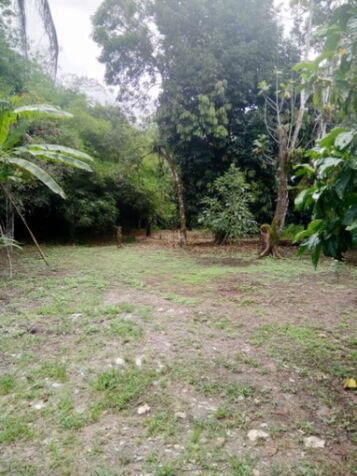 Finca en Limón- se vende por vivir en el extranjero in Río Blanco, Limón — ₡ 95 000 000