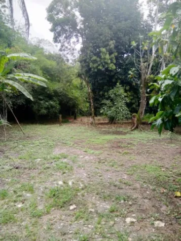 Finca en Limón- se vende por vivir en el extranjero en Río Blanco, Limón — ₡ 95 000 000 - Foto 3 de 6