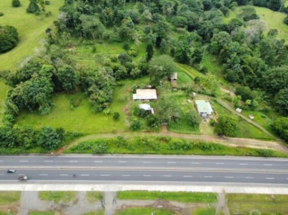 Terrenos Comerciales en Venta Las Mercedes Guácimo, Costa Rica Land for Sale  Investment Opportunity in Mercedes, Guácimo, Limón — ₡ 75 000 000