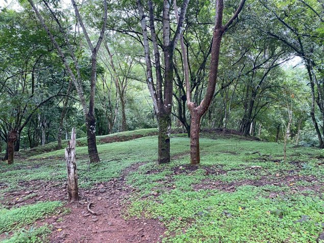 SE VENDE TERRENO EN OROTINA ACSESO A RÍO MACHUCA in Orotina, Alajuela — $580,000 - Photo 3 of 30