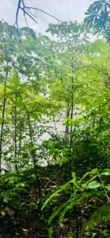 VENTA DE LOTE DE PLAYA, GUANACASTE, SANTA CRUZ en Cuajiniquil, Santa Cruz, Guanacaste — 175 000 000 ₡ - Foto 3 de 9