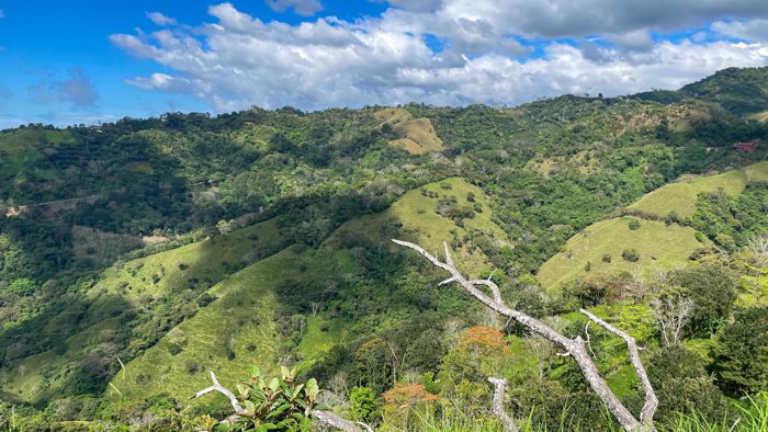 Agricultural Land for Sale in Atenas with Stunning Mountain Views in Mercedes, Atenas, Alajuela — ₡ 77 500 000