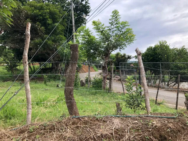 Land for sale in Balsa de Atenas, facing Highway 27 in Atenas, Alajuela — ₡ 116 000 000 - Photo 3 of 8