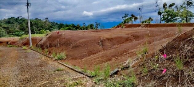 EXCELENTE UBICACIÓN Y PRECIO EN SAN CARLOS in Quesada, San Carlos, Alajuela — ₡ 11 500 000