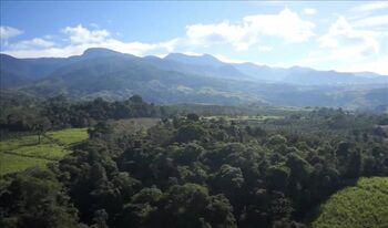 LAND FOR SALE, “QUIZARRA VIEWS” VENTA FINCA QUIZARRA VIEWS in Cajón, Pérez Zeledón, San José — $500,000 - Photo 4 of 5