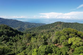 The Perfect Land-Ocean View-Development  Great Location in Bahía Ballena, Osa, Puntarenas — $2,000,000 - Photo 2 of 62