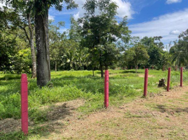 Finca +10 Hectáreas en Horquetas de Sarapiquí Heredia in Las Horquetas, Sarapiquí, Heredia — ₡ 128 000 000