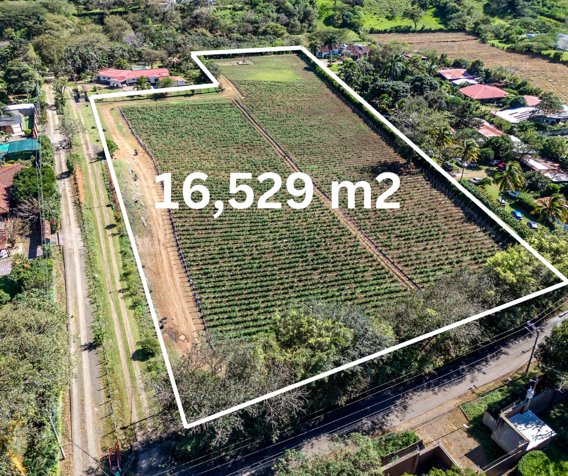 Lote en Venta en San Rafael, Alajuela: Oportunidad para Invertir 🏘️ en San Rafael, Alajuela — $1,650,000