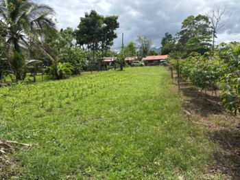 🌿 ¡Lote en San Isidro de Peñas Blancas, San Ramón! en Peñas Blancas, San Ramón, Alajuela — $26,000 - Foto 5 de 8