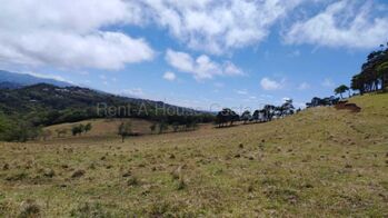 Venta de Lote en San Ramón-Piedades Sur. RAH 26-1770 en Piedades Sur, San Ramón, Alajuela — 550 000 000 ₡ - Foto 4 de 15