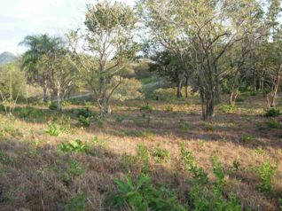 lot in the countryside, quiet and greenery in a tourist area in Curubandé, Liberia, Guanacaste — $360,000 - Photo 4 of 5