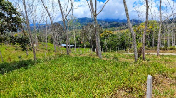VENTA DE LOTE PREMIUM DE 1.873 M2 EN SANTA ROSA, PEREZ ZELEDON in San Isidro De El General, Pérez Zeledón, San José — $55,999