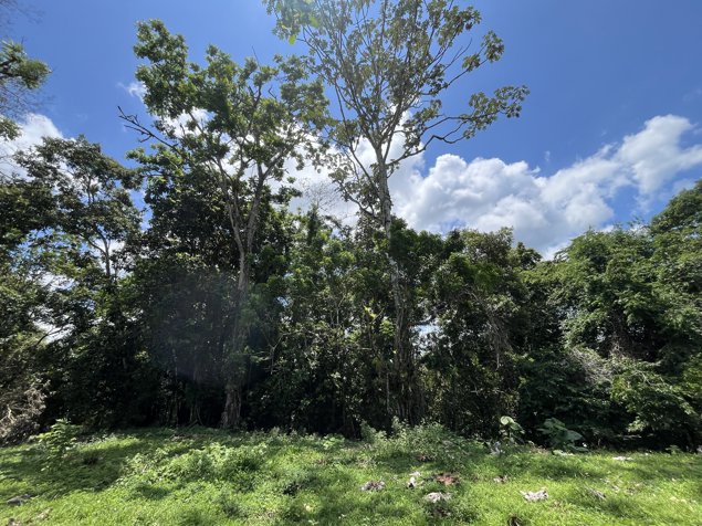 Finca Ganadera lista para producir en San Rafael, Guatuso, Alajuela — ₡ 384 000 000 - Foto 3 de 23