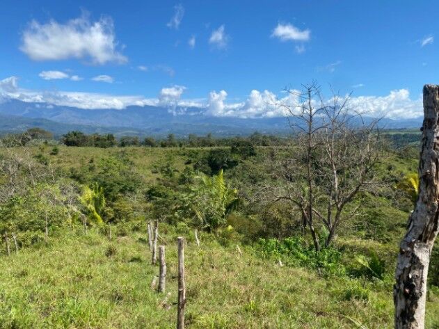 HERMOSA FINCA DE 8 HECTÁREAS EN BUENOS AIRES, PUNTARENAS in Buenos Aires, Puntarenas — $120,000