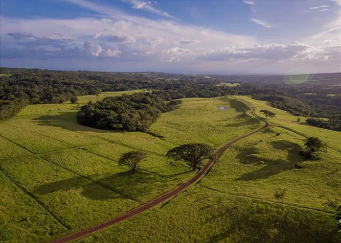Finca en Guanacaste 5000 Ha mecanizada en Cañas, Guanacaste — $60,000,000