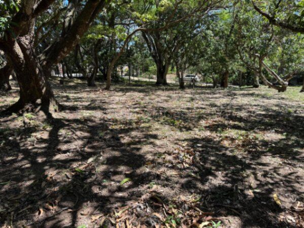 Lote en venta plano con ubicación estratégica en Piedades de Santa Ana #26-1867 GS in Piedades, Santa Ana, San José — $490,000
