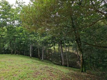 Land for Sale in Tronadora, Tilarán, Guanacaste — 125 000 000 ₡ - Photo 5 of 5