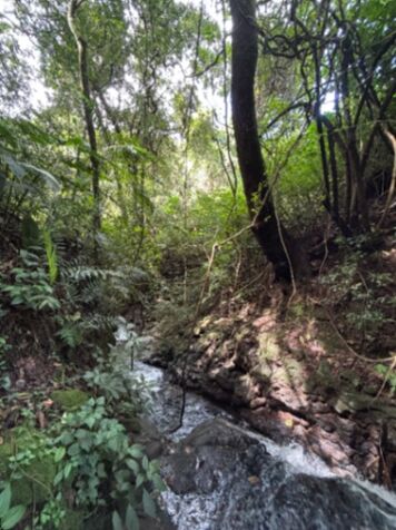¡Oportunidad en Fraijanes! Terreno de 8450m2 in Alajuela — ₡ 250 000 000