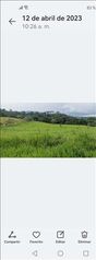 Farm For Sale Venecia, San Carlos, Alajuela