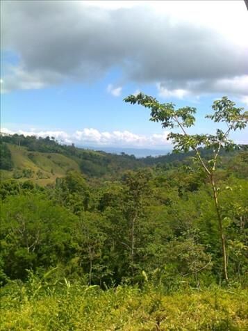 Finca con gran  potencial  turístico  en Puerto Jiménez, Golfito, Puntarenas — ₡ 460 000 000