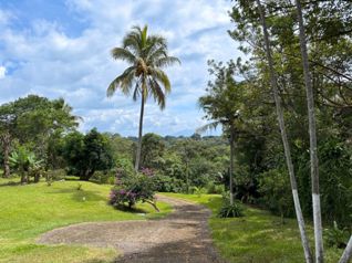 Venta de Casa con apartamento y terreno de uso mixto en  Alajuela - Foto 2 de 3