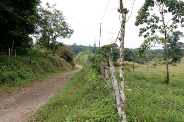 Se vende amplia propiedad de 219 hectáreas en Guápiles de Limón 23-908 en Guápiles, Pococí, Limón — $5,300,000