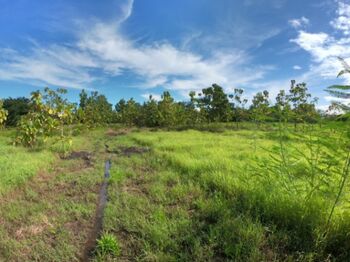 Farm For Sale Belén, Carrillo, Guanacaste