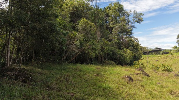 VENTA DE LOTE RESIDENCIAL DE 2.000 M2 FRENTE AL RIO PEÑAS BLANCAS EN SANTA ELENA, PEREZ ZELEDON en San Isidro De El General, Pérez Zeledón, San José — ₡ 15 000 000 - Foto 2 de 27