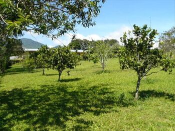 Casa en Venta San Isidro, San Isidro, Heredia