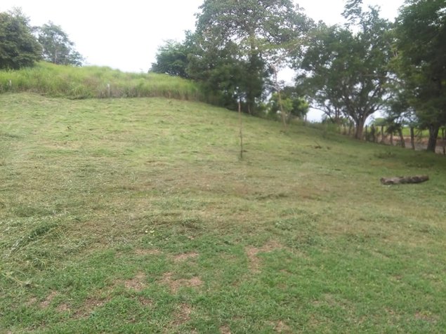 LOTE  PLAYA VISTA GOLFO NICOYA in Colorado, Abangares, Guanacaste — $145,000 - Photo 2 of 6