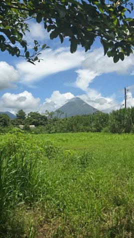 Lotes en La Fortuna de 250m2 - Preventa en La Fortuna, San Carlos, Alajuela — ₡ 38 000 000