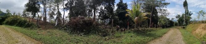 Terreno 5384 m2 Zona Sur, montañas de Puerto Cortes, Costa Rica. in Puerto Cortés, Osa, Puntarenas — $29,500
