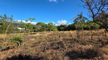 Land For Sale In Los Ángeles, Grecia Costa Rica – Flat Lot in San José, Grecia, Alajuela — 75 000 000 ₡ - Photo 4 of 7