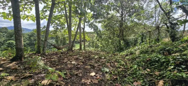 DE OPORTUNIDAD BELLA PROPIEDAD EN TILARÁN, GUANACASTE.  en Arenal, Tilarán, Guanacaste — ₡ 13 500 000 - Foto 3 de 7