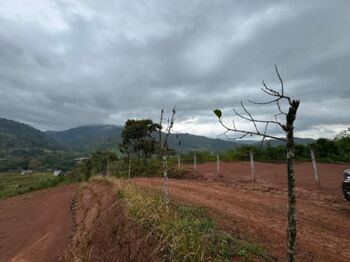 Venta de 2 Lotes en Jimenéz, Cartago.  en Pejibaye, Jiménez, Cartago — 24 000 000 ₡ - Foto 5 de 20